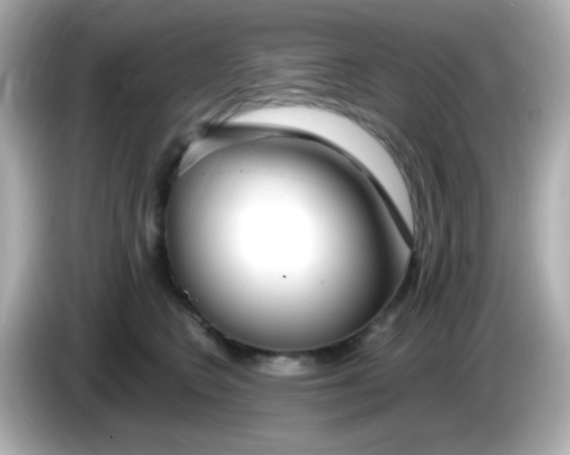 X0000085790566200704091432