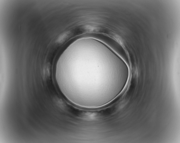 X0000085790570200704091432