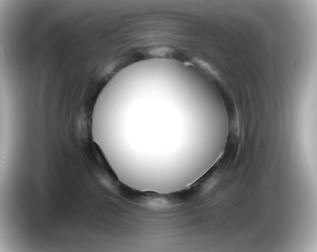 X0000085790572200704091432