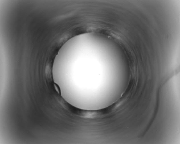 X0000085790575200704091432