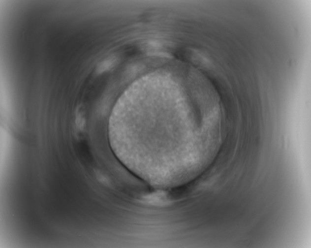 X0000085790576200704091432