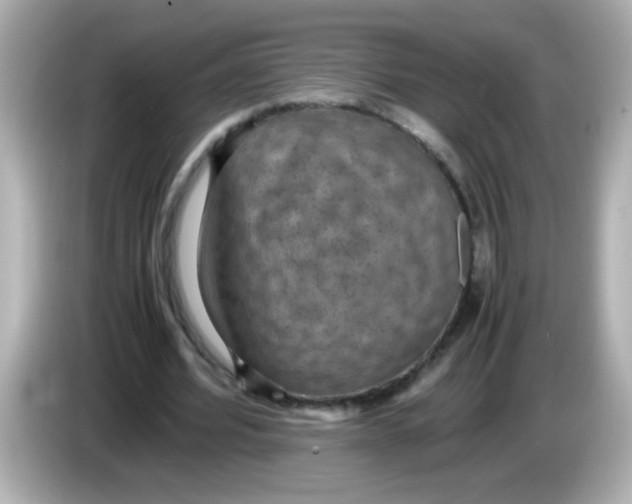 X0000085790580200704091432
