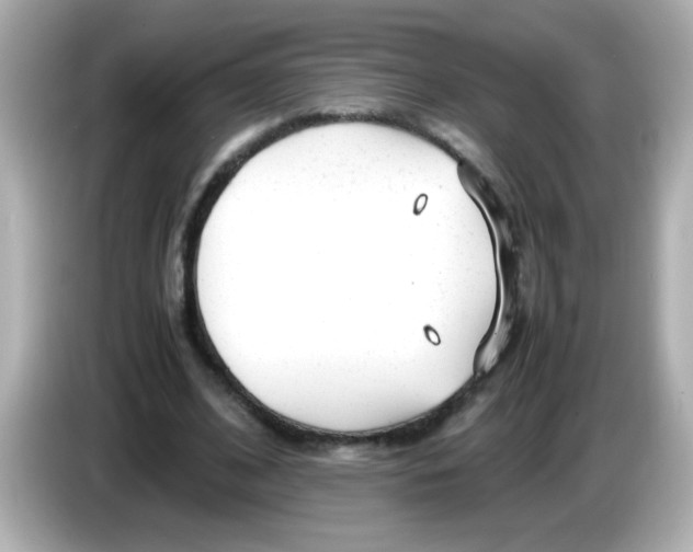 X0000085790584200704091432