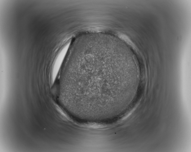 X0000085790585200704091432