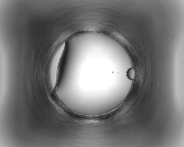 X0000085790586200704091432