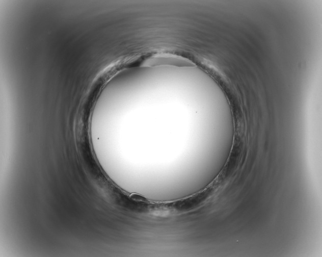 X0000085790587200704091432