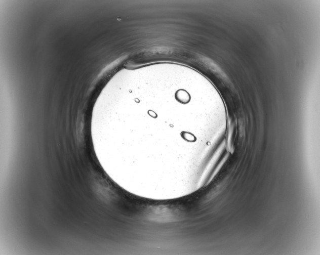 X0000085790588200704091432