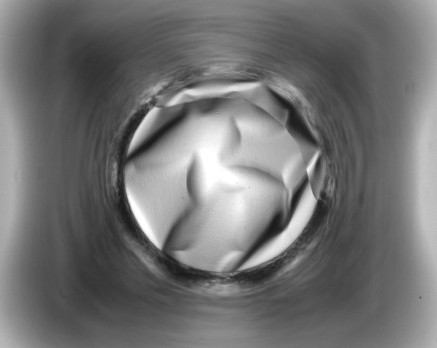 X0000085790589200704091432
