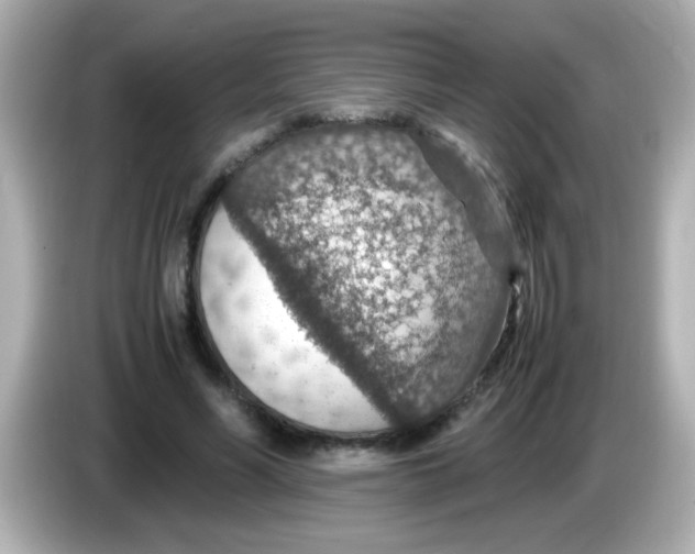 X0000085790590200704091432