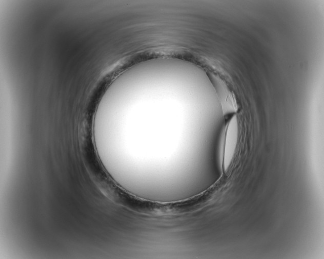 X0000085790591200704091432