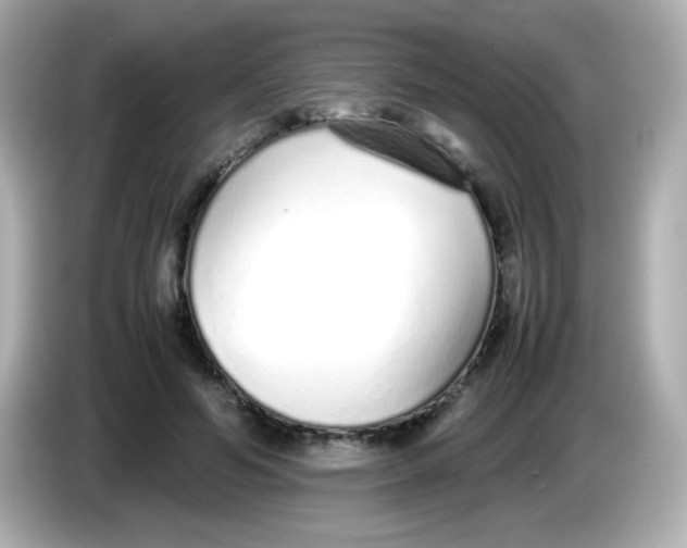 X0000085790594200704091432