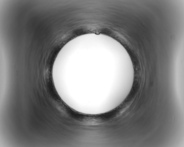 X0000085790597200704091432
