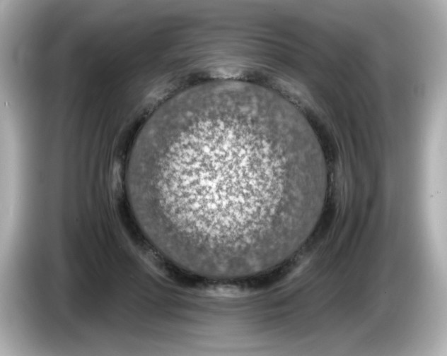 X0000085790598200704091432