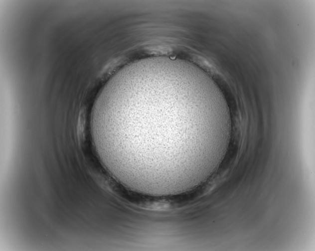X0000085790600200704091432