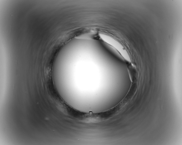 X0000085790601200704091432