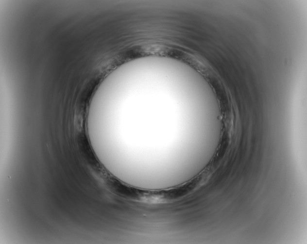 X0000085790602200704091432