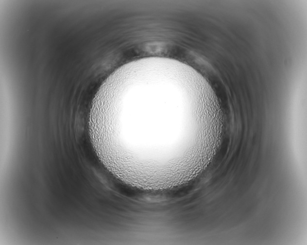 X0000085790606200704091432