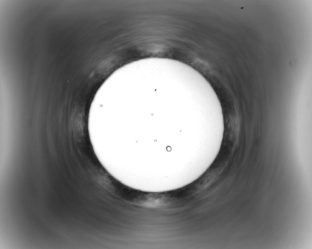 X0000085790612200704091431