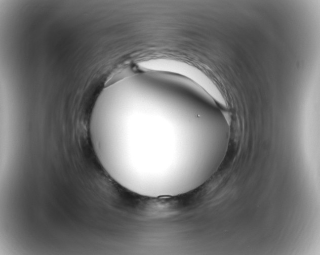 X0000085790613200704091431