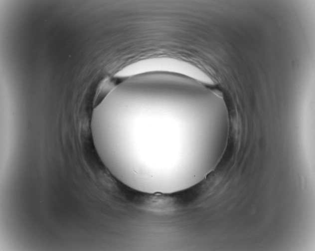 X0000085790617200704091431