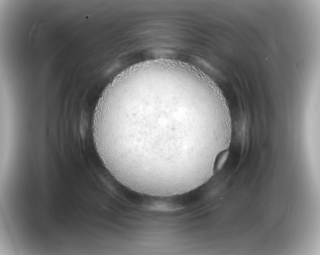 X0000085790618200704091431