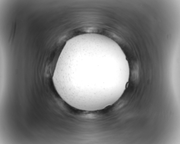 X0000085790620200704091431