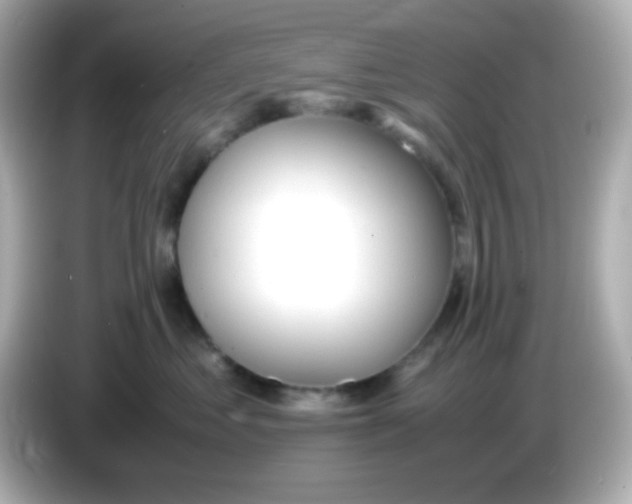 X0000085790621200704091431
