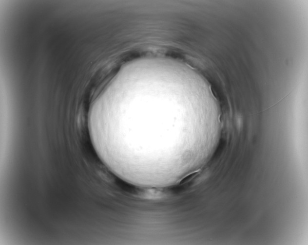 X0000085790623200704091431