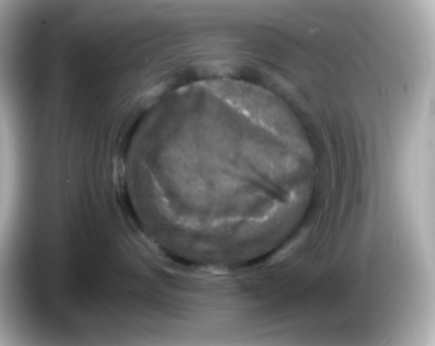 X0000085790624200704091431