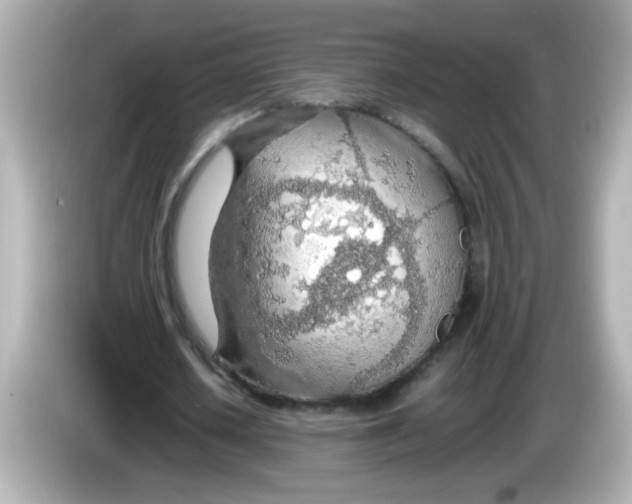 X0000085790626200704091431