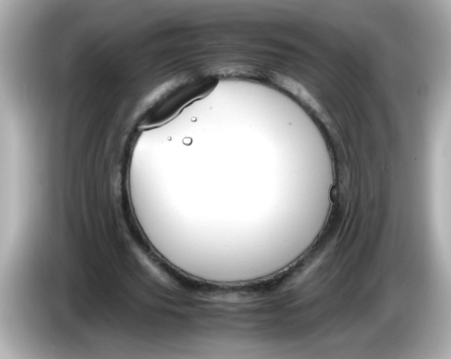 X0000085790629200704091431