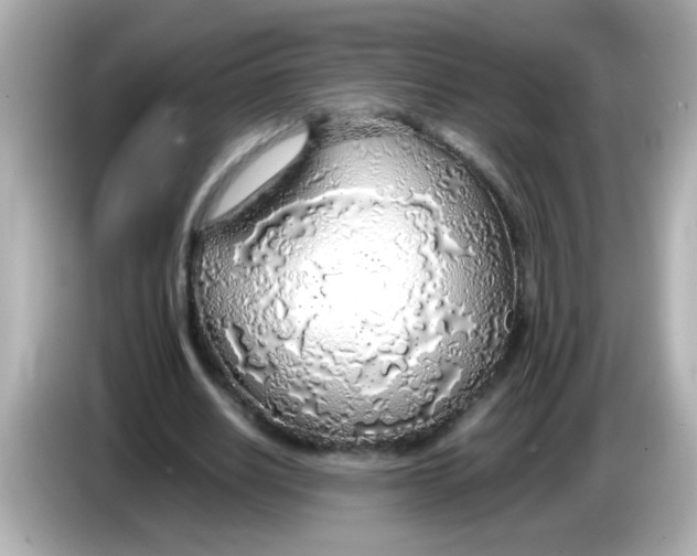 X0000085790630200704091431
