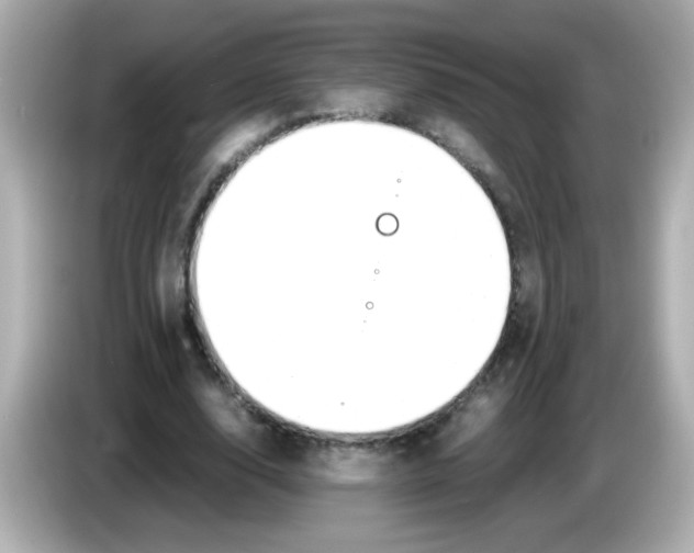X0000085790632200704091431