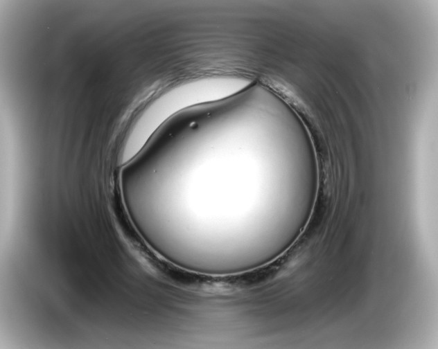X0000085790634200704091431