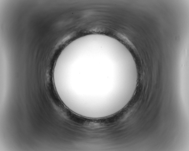 X0000085790635200704091431
