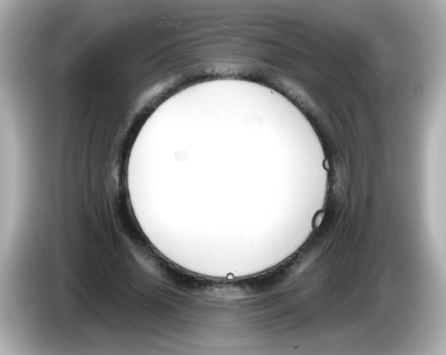 X0000085790636200704091431