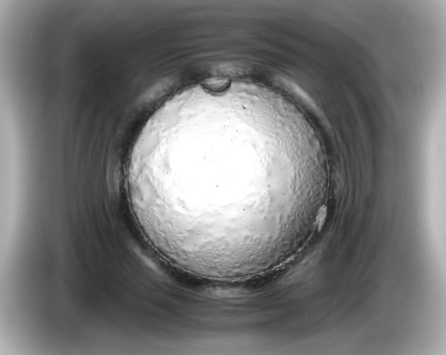 X0000085790637200704091431