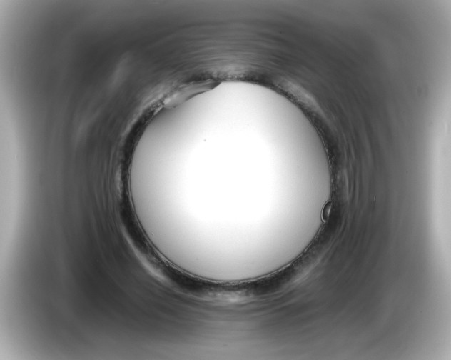 X0000085790638200704091431