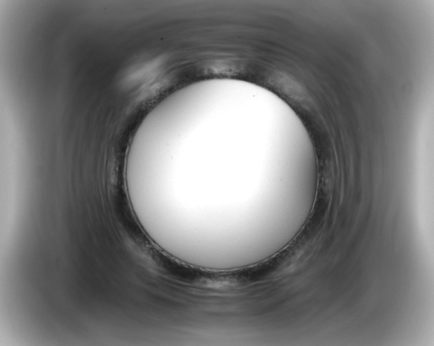 X0000085790639200704091431