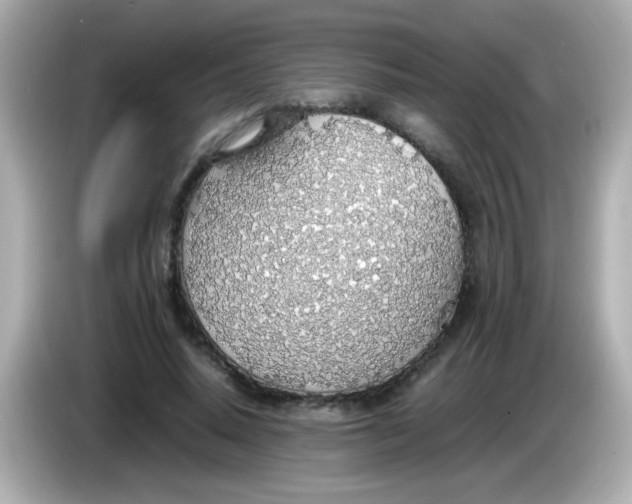 X0000085790640200704091431