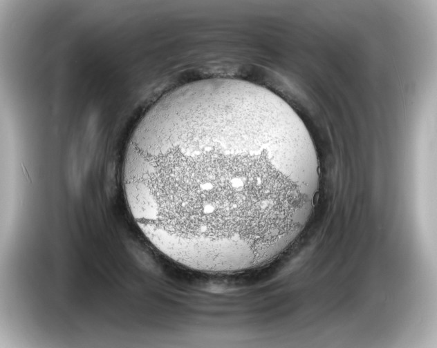 X0000085790641200704091431