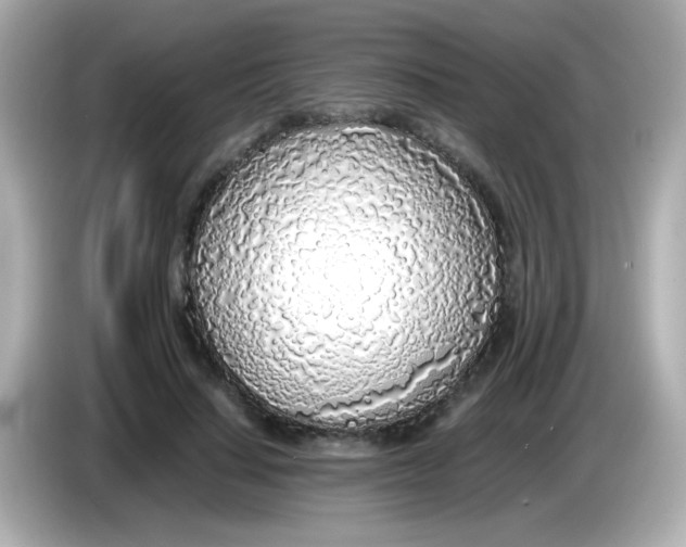 X0000085790644200704091431