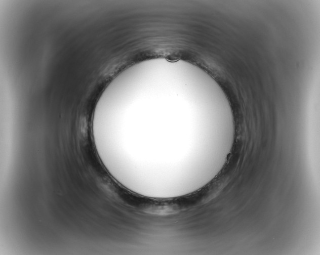 X0000085790646200704091431