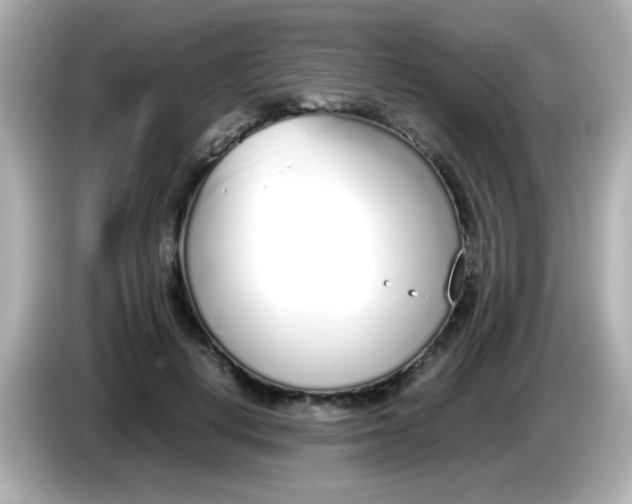 X0000085790648200704091431