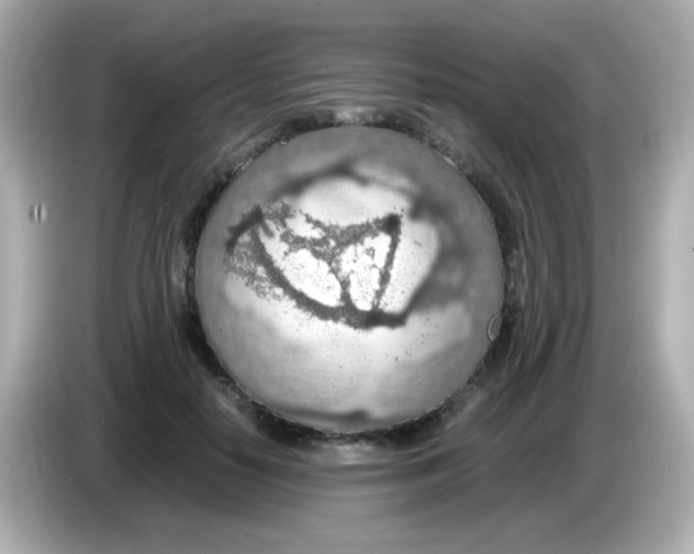 X0000085790650200704091431