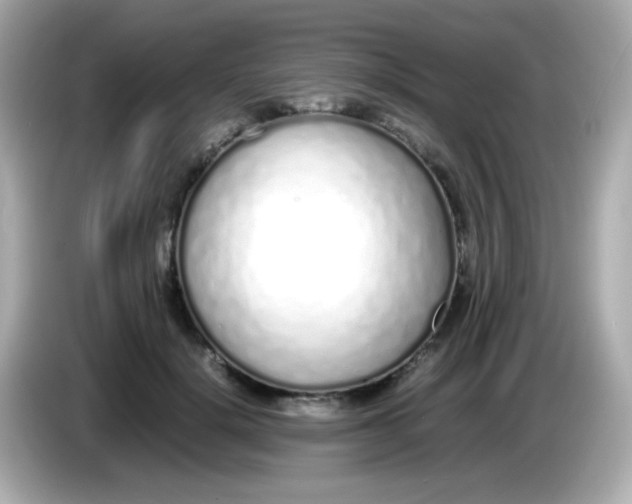 X0000085790652200704091431