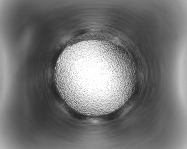 X0000085790654200704091431