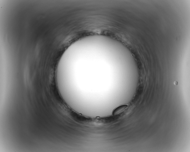 X0000085790656200704091431