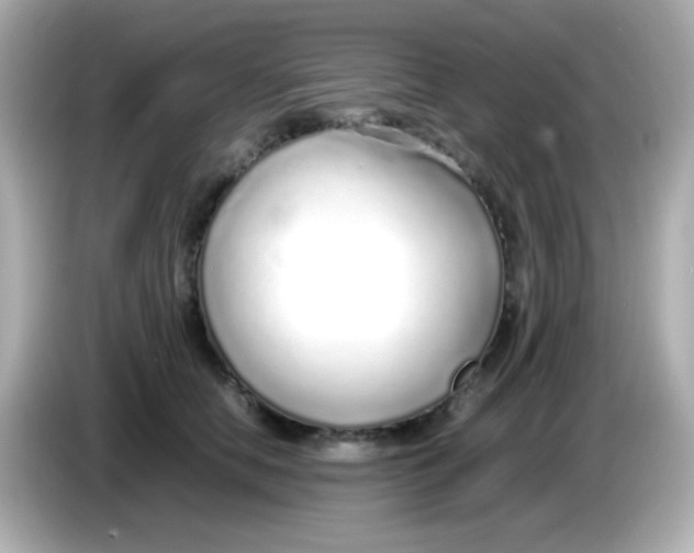 X0000085790658200704091431