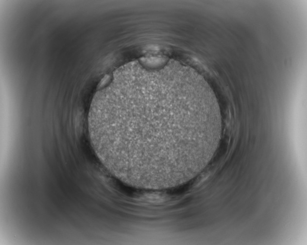 X0000085790659200704091431